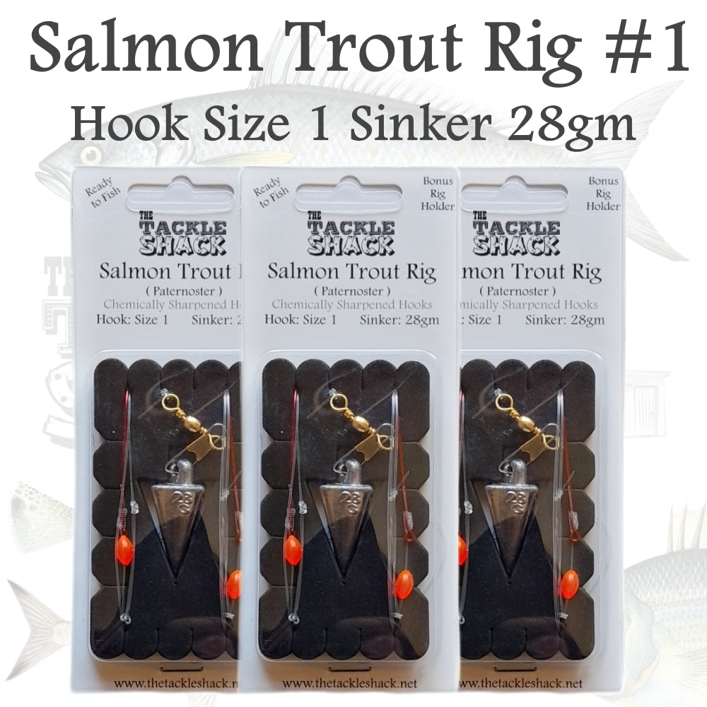 Salmon Trout Fishing Rig #1